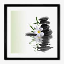 Tulup foto su MDF decorazione