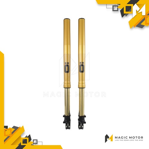 Forcelle moto anteriori ohlins - anteriori,