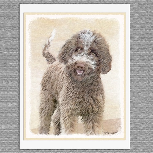 Biglietti auguri lagotto - di,