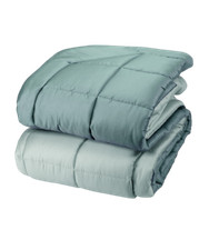 TRAPUNTA FAZZINI DIALOGO 1