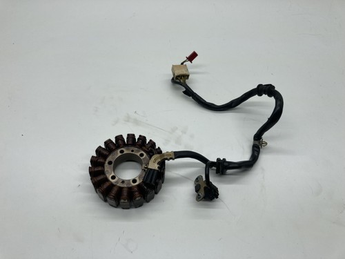 Statore alternator magnete - statore,