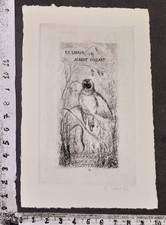 Wunderkammer exlibris 217 - exlibris,