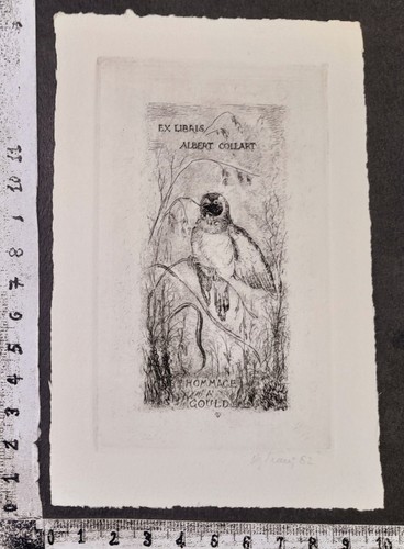 Wunderkammer exlibris 217 - exlibris,