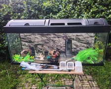 Acquario 100 litri completo