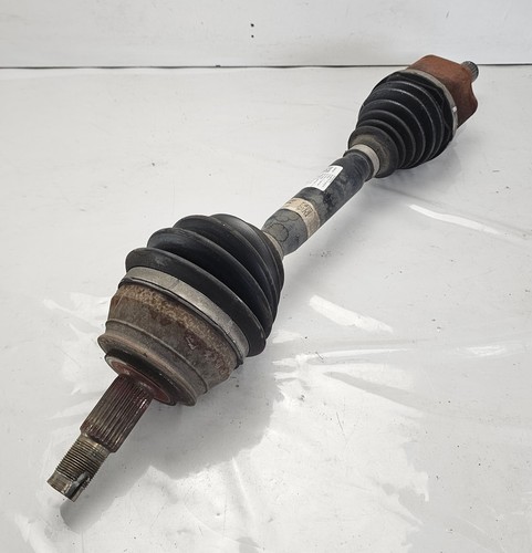 50546426 semialbero ant - semialbero,