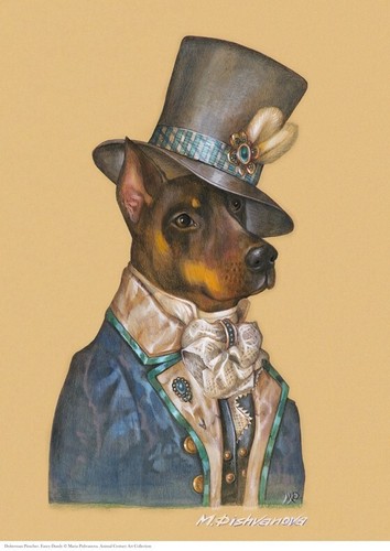 Doberman pincher fancy dandy - pincher,