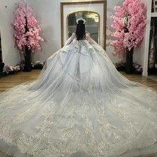 Abito da ballo principessa paillettes applique quinceanera abito da ballo volant a cuore ﻿