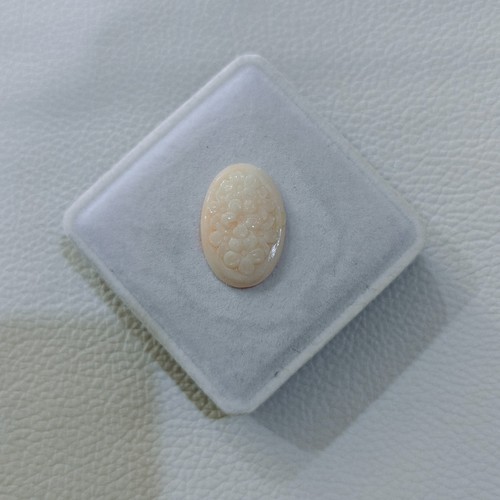 Corallo giapponese naturale