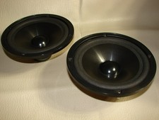 Coppia di altoparlanti woofer