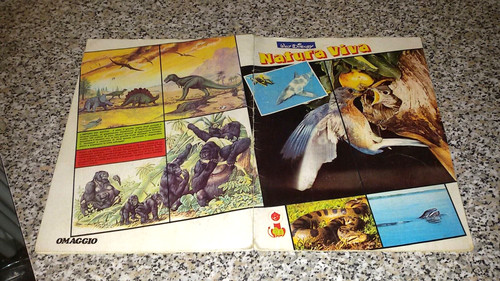 Album natura viva d - album,