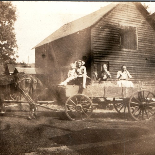 C1910s carro fieno - fieno, da