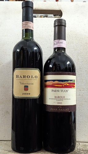 Barolo azienda vinicola - azienda,