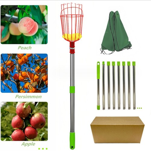 Palo raccogli frutta con - frutta,
