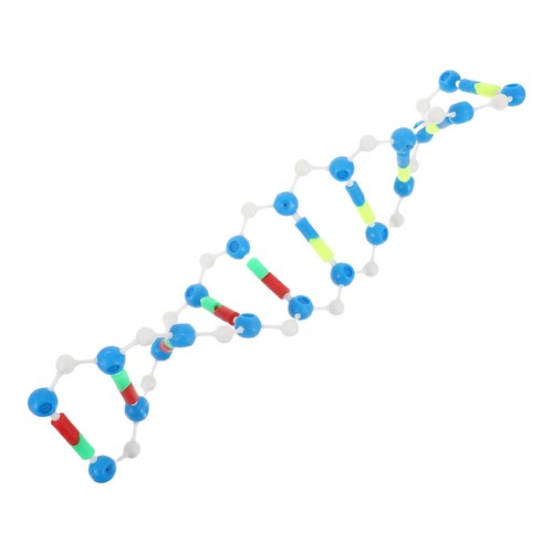 Modello dna doppia - dna,