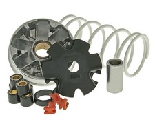 Variatore sportivo MALOSSI