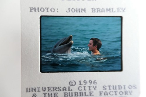 Flipper 1996 - ,