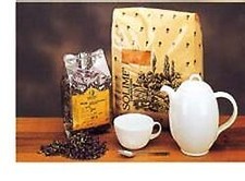 Solime' Coda Cavallina