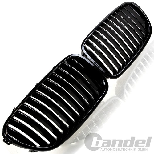 Griglia radiatore sport rene - radiatore,