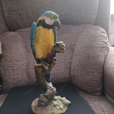 if you like parrots this is