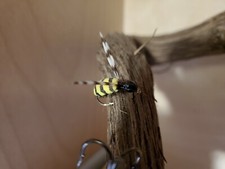 Mosca da pesca Bumble Bee 