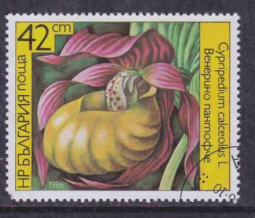 Bulgaria 1986 orchidea - bulgaria,