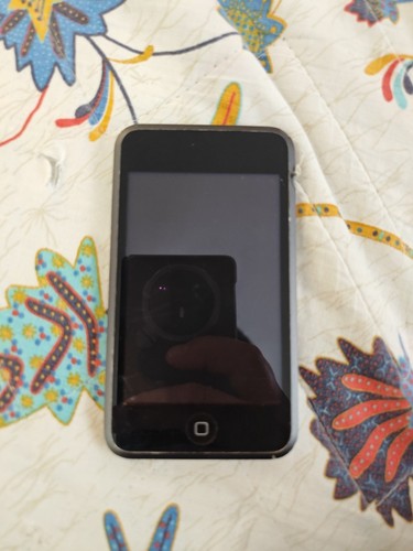 Apple ipod touch 1st - ipod,