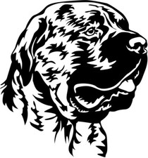 Adesivo PRESA CANARIO - adesivo auto - sticker - testa Dogo Canario #60