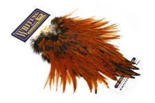 Sella gallo americano Whiting