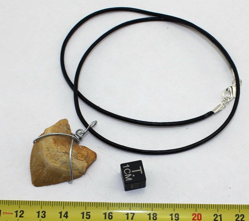 Collana pendente dente - pendente, di