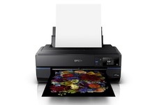 EPSON SC P800 - stampante professionale fotografica - fino ad A2 e su rullo