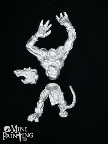 Warhammer fantasy skaven - warhammer,