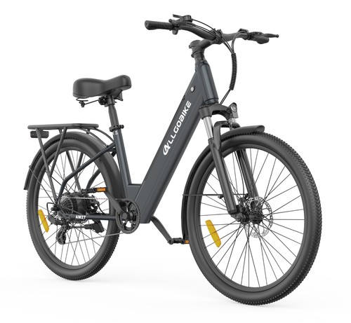 Bicicletta elettrica trekking