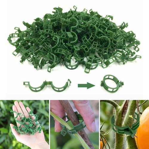 50pcs cravatte serra pomodoro - cravatte,