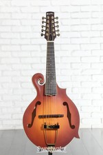 Mandolino elettrico