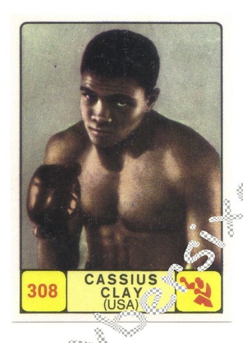 Cassius clay figurina - cassius, 308