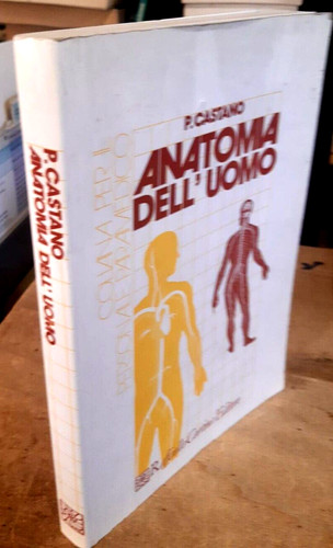 Anatomia dell uomo castano - dell'uomo,