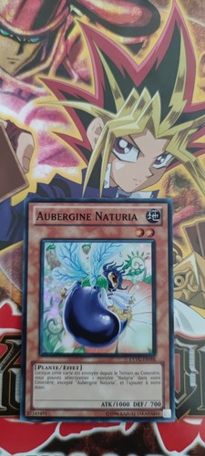Carte aubergine - yu-gi-oh!,