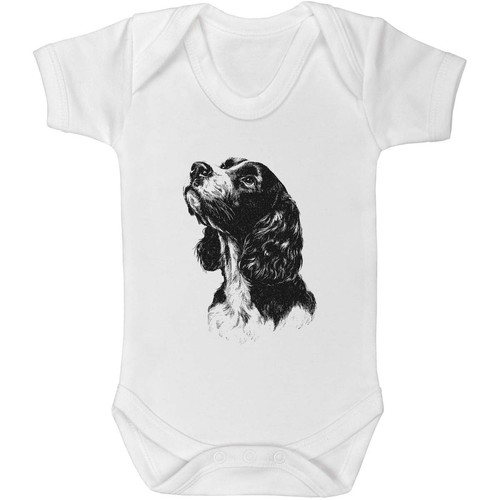 Cocker spaniel dog - 'cocker,
