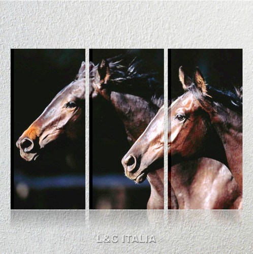 Cavalli quadri moderni - quadri, x