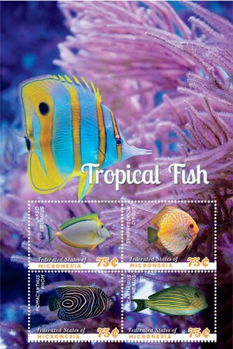 Micronesia 2014 pesce - 2014,
