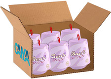 6X Bauli Mini Pandoro di