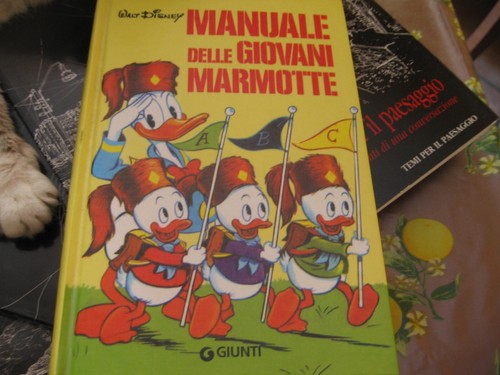 Manuale giovani marmotte - manuale,