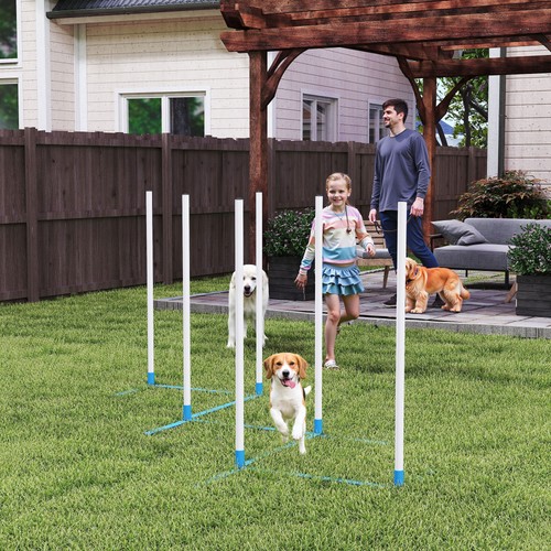 Dog weave pole set - dog,