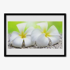 Arte da parete con cornice in