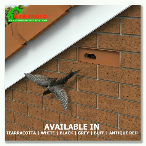 Swift bird nesting brick - swift,