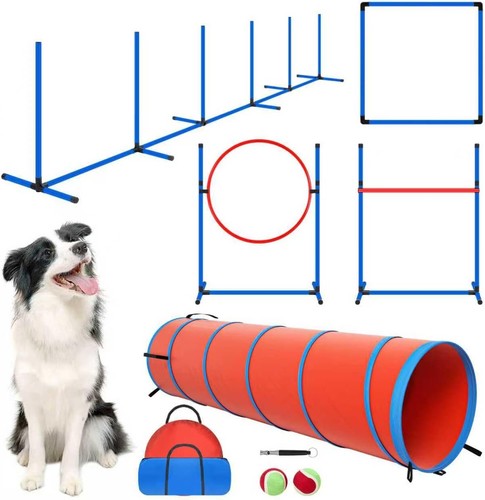 Dog agility equipment - equipment,