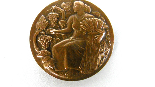 Medaglia insegnamento fattoria - insegnamento,