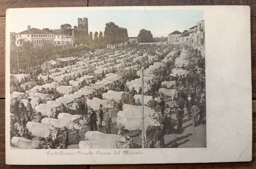 Castelfranco veneto primi - castelfranco,
