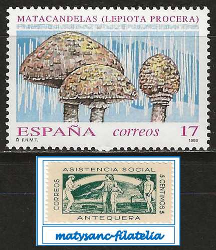 España 1993 edifil 3244 - 1993.,