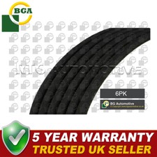 Cinghia di trasmissione a